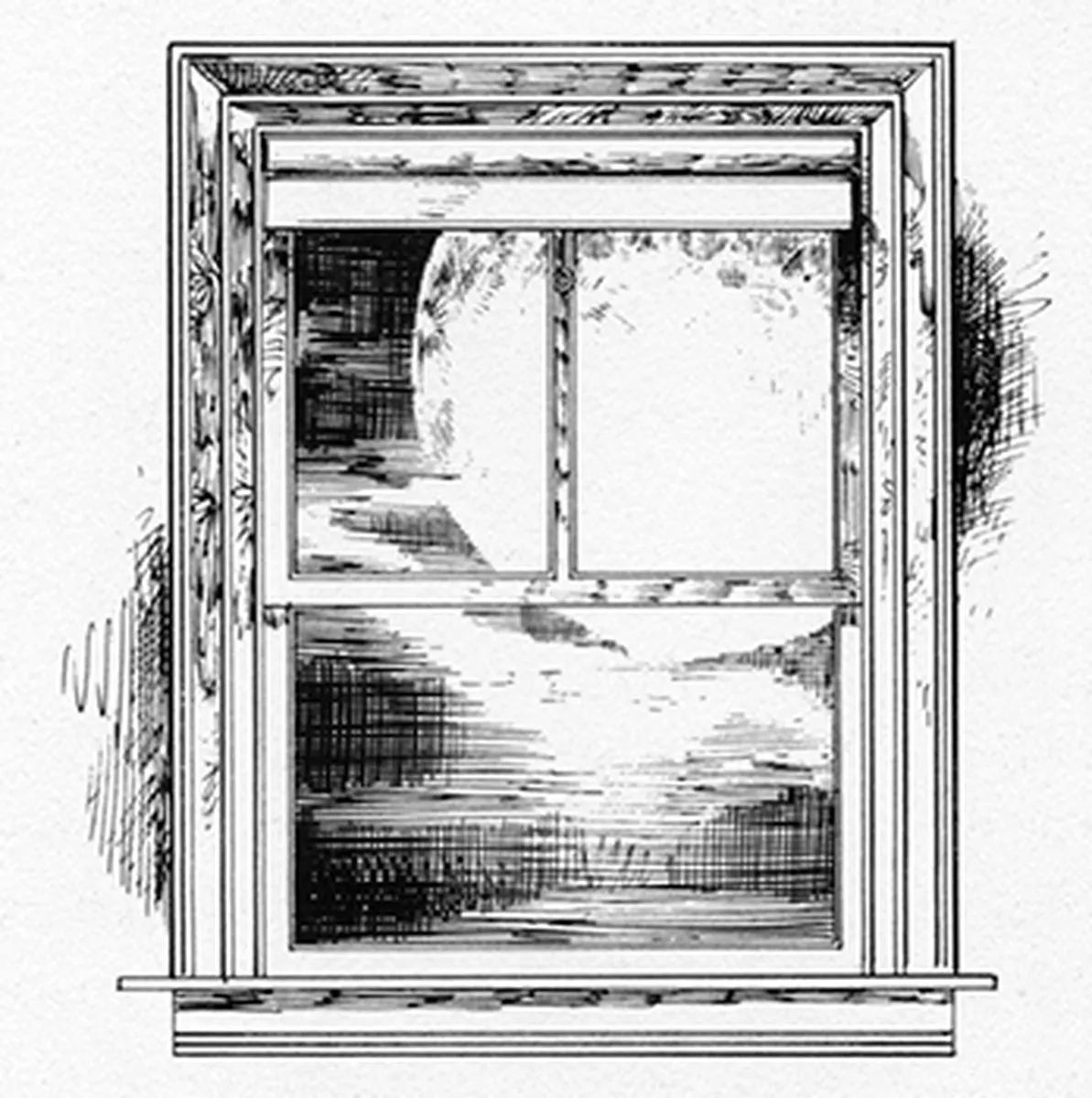 Window