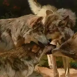 Brothers